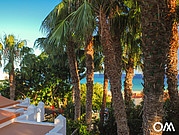 I bungalow hanno una piccola terrazza e sono a soli 30 metri dal mare I bungalow hanno una piccola terrazza e sono a soli 30 metri dal mare