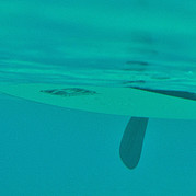 SUP Ocean & Earth Schede epossidiche con superficie morbida e antiscivolo